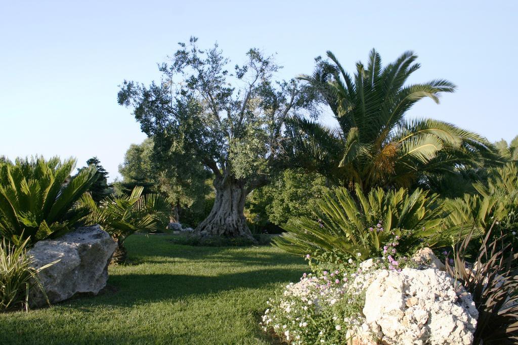 Pozzillo San Rocco Bed & Breakfast Arnesano Eksteriør bilde